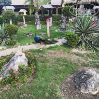 фото из отзыва ID 2268541