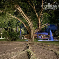 фото из отзыва ID 2268650