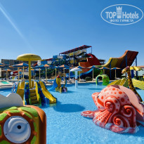 фото из отзыва ID 2268655