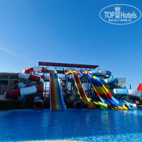 фото из отзыва ID 2268655