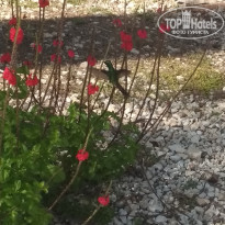 фото из отзыва ID 2268645