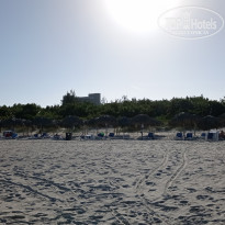 фото из отзыва ID 2268645