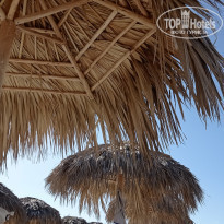 фото из отзыва ID 2268645