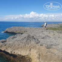 фото из отзыва ID 2268367