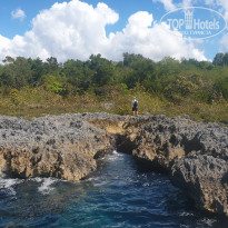 фото из отзыва ID 2268367