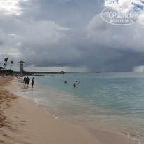 фото из отзыва ID 2268367