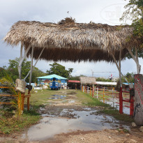 фото из отзыва ID 2268367