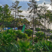 фото из отзыва ID 2268815