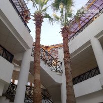 фото из отзыва ID 2268945