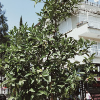 фото из отзыва ID 2269023