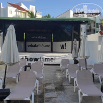 фото из отзыва ID 2269000