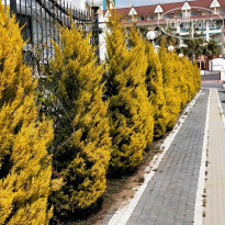 фото из отзыва ID 2269032