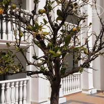 фото из отзыва ID 2269032