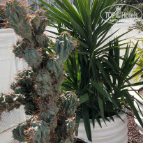 фото из отзыва ID 2269032