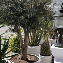 фото из отзыва ID 2269032