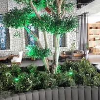 фото из отзыва ID 2269032