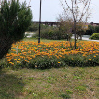 фото из отзыва ID 2269032