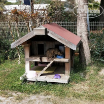 фото из отзыва ID 2269032