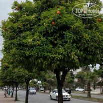 фото из отзыва ID 2269032