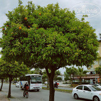 фото из отзыва ID 2269032