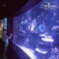 фото из отзыва ID 2269032