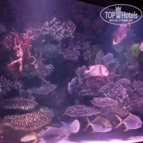 фото из отзыва ID 2269032