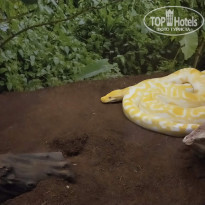 фото из отзыва ID 2269032