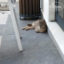 фото из отзыва ID 2269032