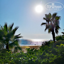 фото из отзыва ID 2269056