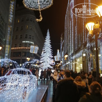 фото из отзыва ID 2269051