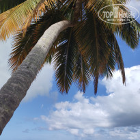 фото из отзыва ID 2269095