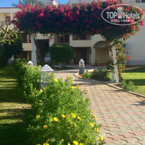 фото из отзыва ID 2269017