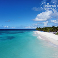 фото из отзыва ID 2269209