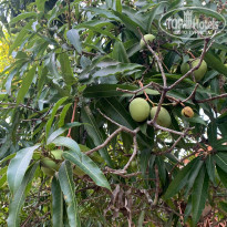 фото из отзыва ID 2269209