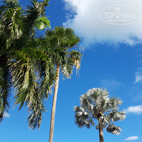 фото из отзыва ID 2269328