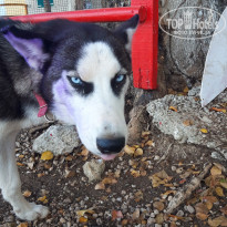 фото из отзыва ID 2269328