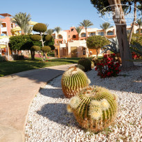 фото из отзыва ID 2269421