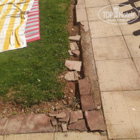 фото из отзыва ID 2269504