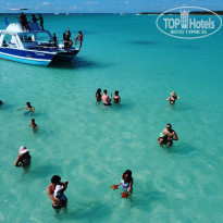 фото из отзыва ID 2269209