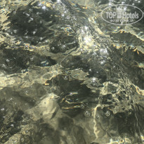 фото из отзыва ID 2269532