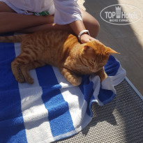 фото из отзыва ID 2269569