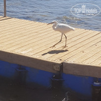 фото из отзыва ID 2269569