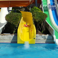 фото из отзыва ID 2269598