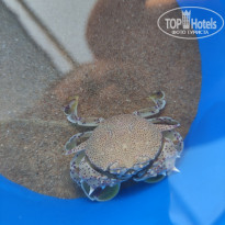 фото из отзыва ID 2269598