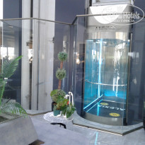 фото из отзыва ID 2269661