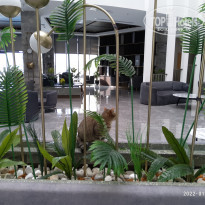 фото из отзыва ID 2269661