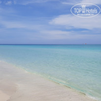 фото из отзыва ID 2269666