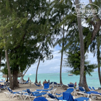 фото из отзыва ID 2269688