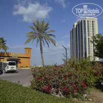 фото из отзыва ID 2269773