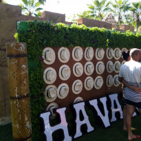 фото из отзыва ID 2269888